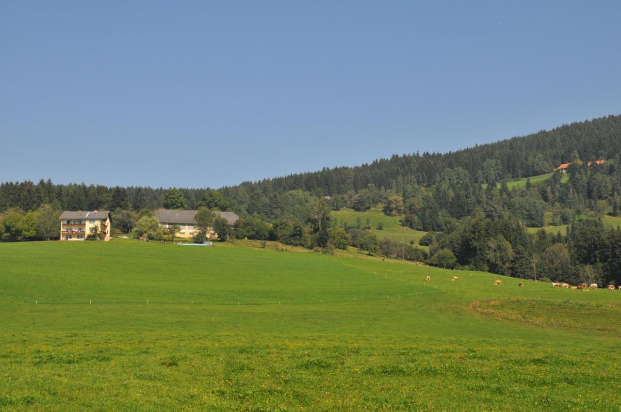 Apartment Graglerhof